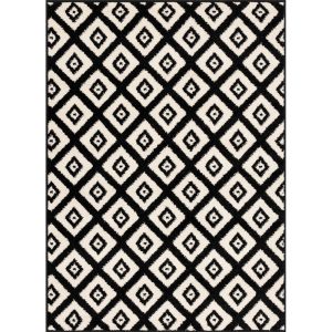Fekete-fehér szőnyeg 160x220 cm Avanti – FD