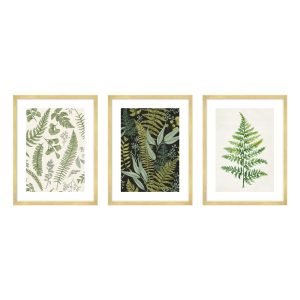 Kép szett 3 db-os 30x40 cm Fern – knor