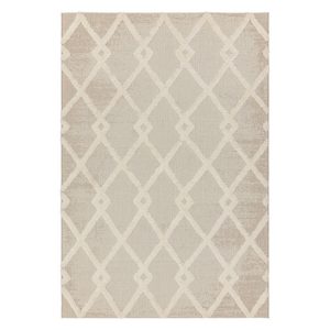 Krémszínű kültéri szőnyeg 160x230 cm Monty – Asiatic Carpets