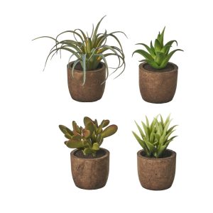 Műn&ouml;v&eacute;ny szett 4 db-os (magass&aacute;g 10 cm) Cactus &ndash; Casa Selecci&oacute;n