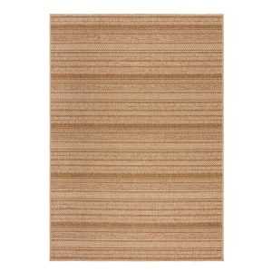 Natúr színű kültéri-beltéri szőnyeg 120x170 cm Farah Stripe – Flair Rugs