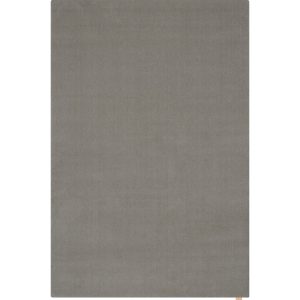 Szürke gyapjú szőnyeg 160x240 cm Calisia M Smooth – Agnella