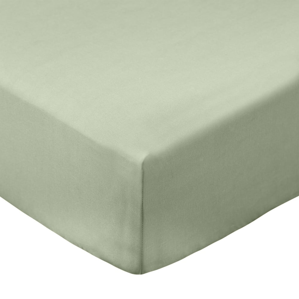 Zöld gumis pamut-perkál lepedő 135x190 cm Cotton Percale – Bianca