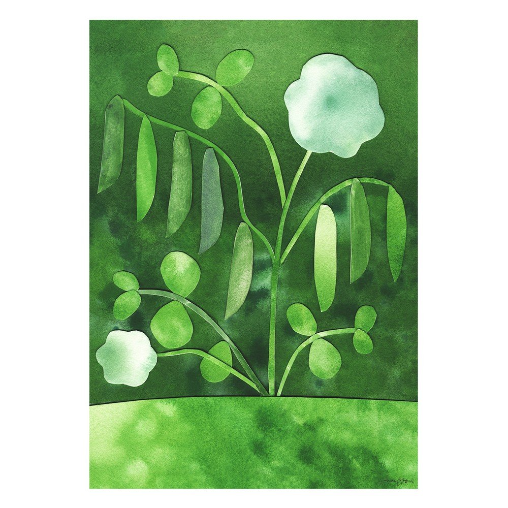 Poszter 50x70 cm Peas in Bloom – Anna Ravn Bjørn – The Poster Club