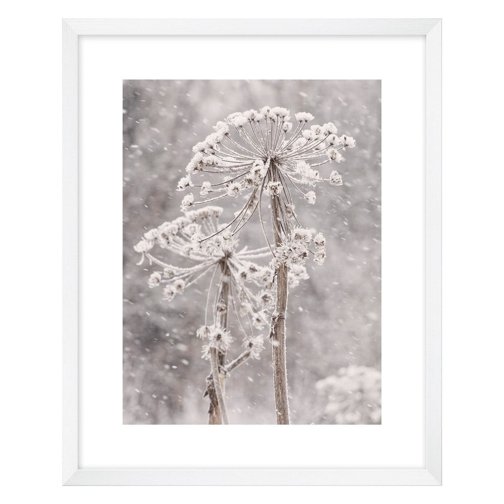 Kép 40x50 cm Snow – knor