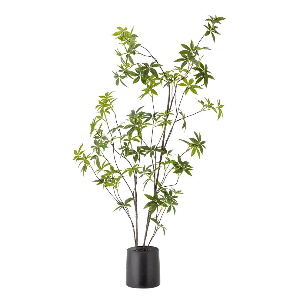 Műnövény (magasság 160 cm) Palmatum – Bloomingville