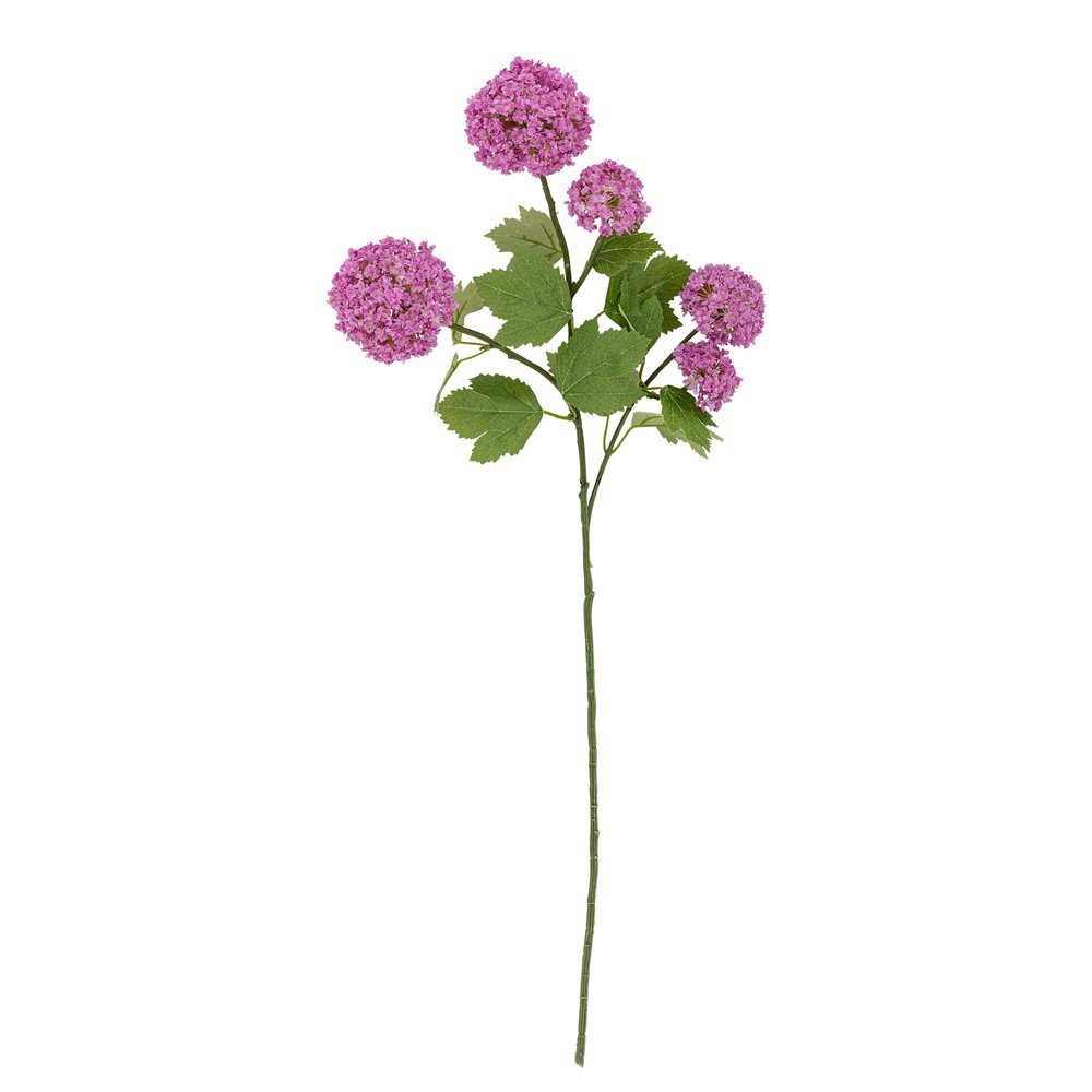 Művirág (magasság 73