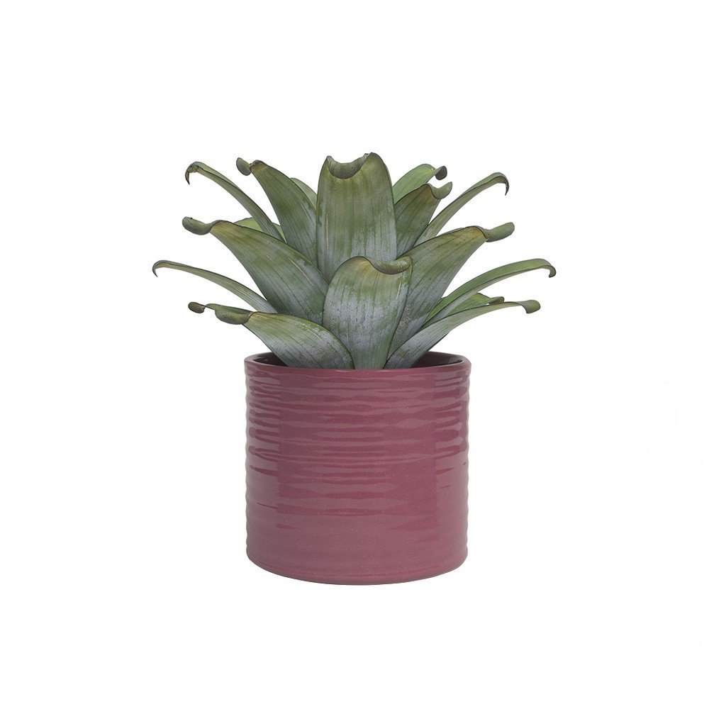 Kerámia kézzel készített kaspó ø 18 cm Fortuna – Artevasi