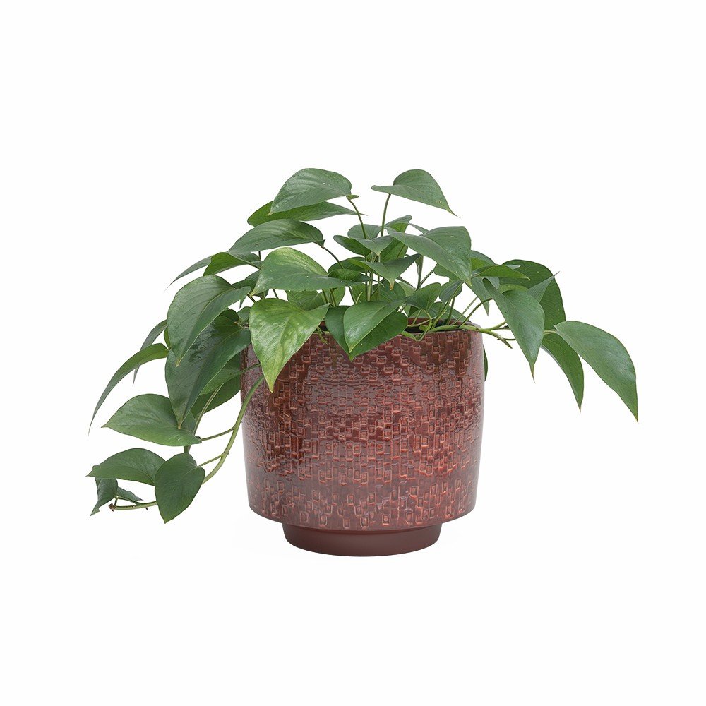 Kerámia kézzel készített kaspó ø 21 cm Minerva – Artevasi