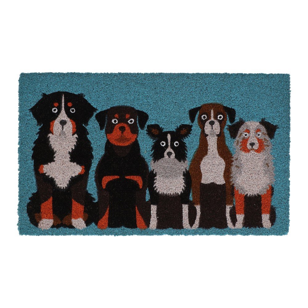 Kókuszrost lábtörlő 45x75 cm – Esschert Design