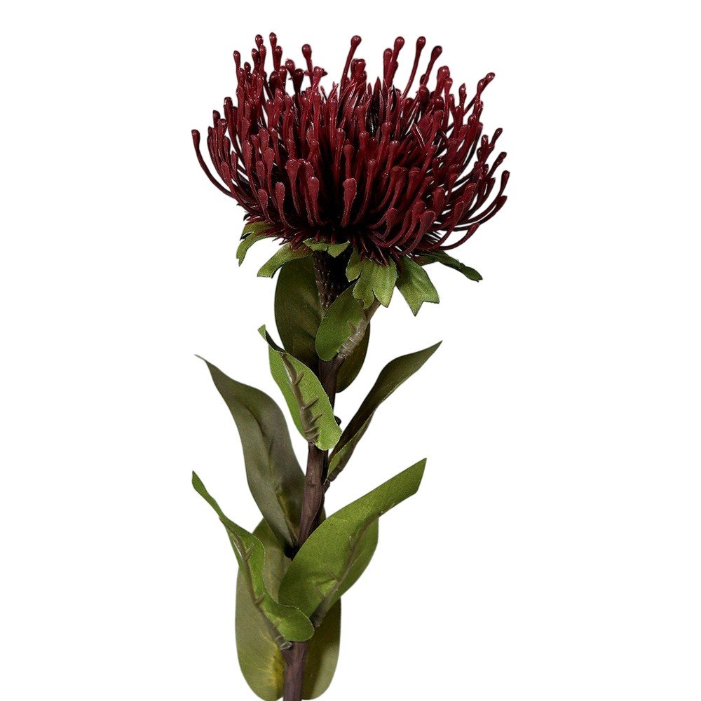 Művirág (magasság 74 cm) Protea – Ego Dekor