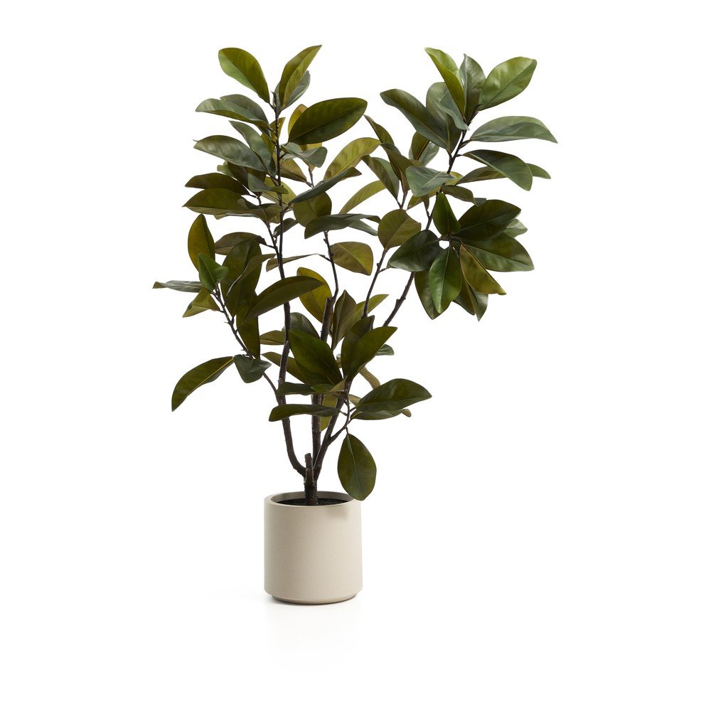 Műnövény (magasság 160 cm) Magnolia – Kave Home