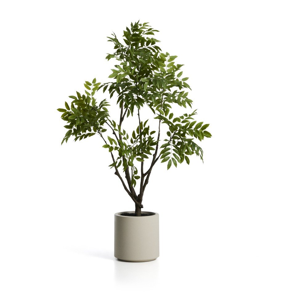 Műnövény (magasság 185 cm) Rhus – Kave Home