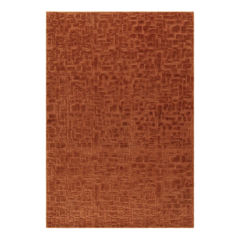 Terrakotta színű szőnyeg 200x290 cm – Asiatic Carpets